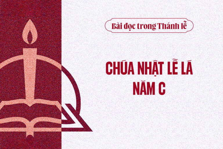 B i c trong th nh l ch a nh t l l n m c tong giao phan hue